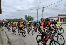 Feira de Artesanato e Gastronomia da Mealhada inclui passeio de cicloturismo