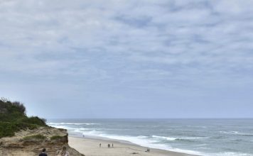 Mar destapa carcaça de baleia de 20 toneladas em Ovar