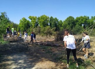 ‘Caminhada pela Paz’ na Mealhada