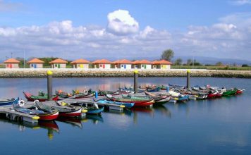 Pescadores da Ria de Aveiro exigem guias em papel para evitar multas pesadas no transporte de peixe
