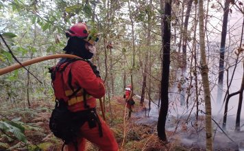 Arouca e Águeda nas localidades dos cinco incêndios a causar maior preocupação