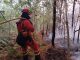 Arouca e Águeda nas localidades dos cinco incêndios a causar maior preocupação