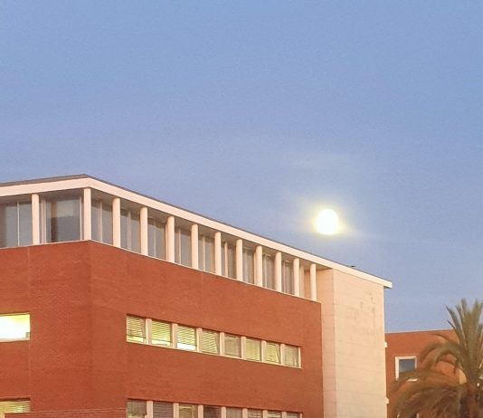 Quatro estudantes da UA rumam aos EUA para investigar com bolsa Fulbright