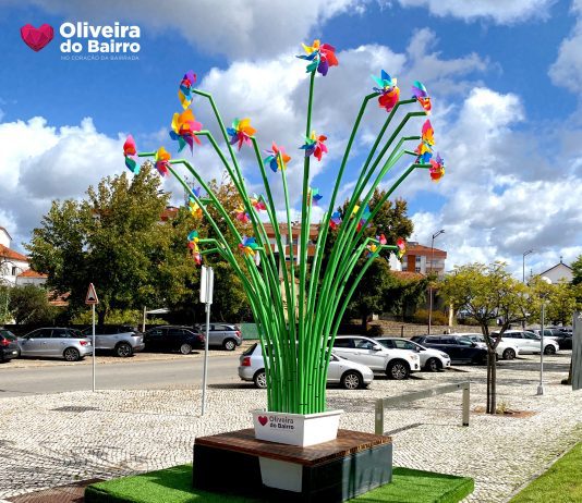 “Itinerante 2026” apresenta pintura em Oliveira do Bairro