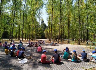 Mealhada envolve jovens na criação de projeto de saúde mental