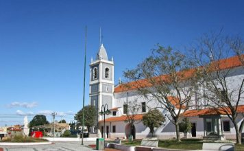 Oliveira do Bairro: ‘Bolsa de Acompanhantes de Maior’ em formação