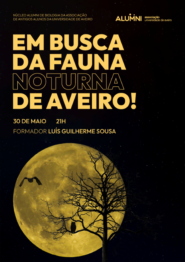 cartaz