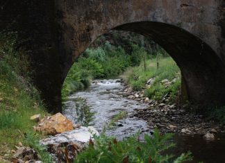 ‘Caminha pela Natureza’ de Águeda segue pelo Trilho da Ribeira da Alombada