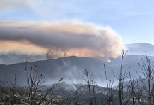 Fogo de Arouca a caminho de ser controlado pelos bombeiros / Resta uma frente ativa, do lado de Cinfães