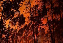 Fogo de Arouca dominado