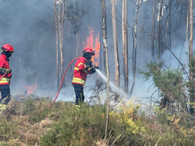 bombeiros de Ílhavo