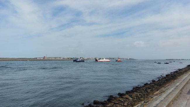 WhatsApp Image 2025-09-06 at 11.21.03