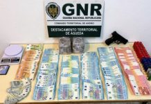 Denúncia levou GNR a encontrar 4 mil doses de haxixe num pinhal / Suspeitos na posse de 15.600 euros