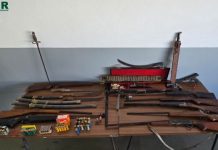 Suspeito de maus tratos a animais detido e apreendidas armas proibidas