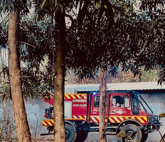 Fogo florestal mobilizou cerca de 90 bombeiros para Requeixo