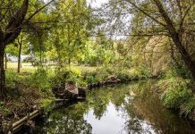 Ria Viva vai intervir nas margens do Rio Caster (Ovar) e defesas ribeirinhas do concelho da Murtosa