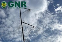 GNR apreende rede de captura de aves