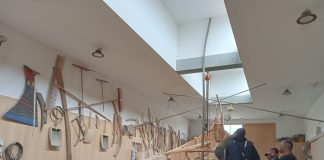 Moliceiro: “O grande trabalho, havendo a classificação, será o plano de salvaguarda” – José Eduardo Matos (CIRA)