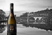 Marketing: Barcos Wines recruta agência Brandtellers