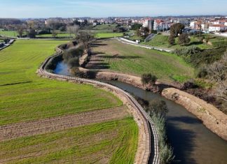 Estarreja é uma das três cidades finalistas ao título European Green Leaf 2028