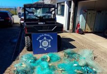 Apreendidas ‘redes majoeiras’ ilegais