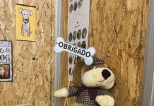 Animais: AMA divulga atividades e angaria fundos na Feira de Março