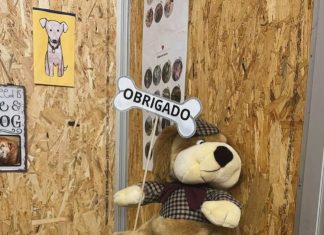 Animais: AMA divulga atividades e angaria fundos na Feira de Março