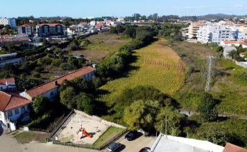 Albergaria-A-Velha: Celebrado acordo com proprietários de terreno abrangido pelo futuro ‘Parque da cidade’