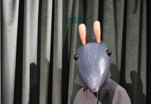 Aveiro: Teatro de Marionetas do Porto apresenta “Sr. Aníbal”