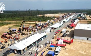 Ministro da Agricultura quer floresta reconhecida como riqueza e não como problema