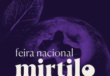 ‘Myrtillus Fusión – Market, Food, Experience’