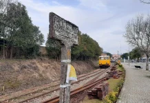 MCLV consegue salvar sinal ‘Pare, Escute e Olhe’ existente em Albergaria-A-Velha