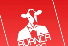 Festival de Cinema AVANCA celebra 30 edições com programação alargada