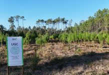Floresta: OFA cria condições para que a gestão aconteça