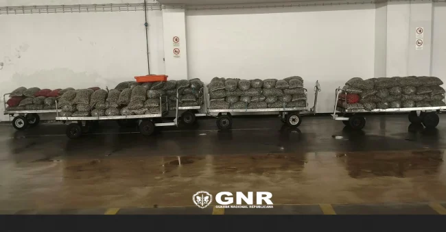 gnr2