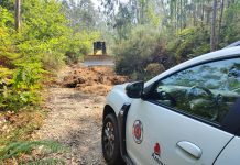 Ol. de Azeméis: Prevenção Contra Incêndios Rurais