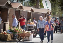 Feira da Batata Doce em Santa António De Vagos
