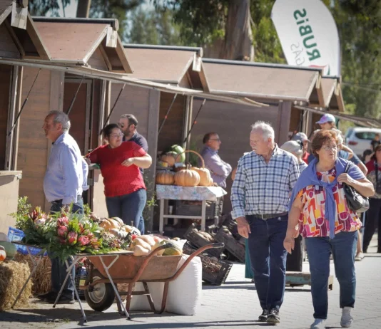 Feira da Batata Doce em Santa António De Vagos