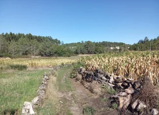 Pelas aldeias do Arestal