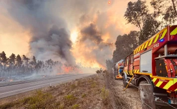 Aveiro sul: Incêndio florestal “em resolução”