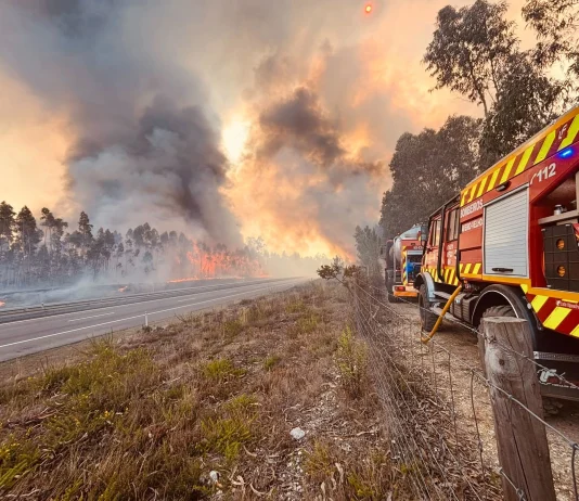 Aveiro sul: Incêndio florestal “em resolução”