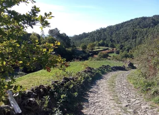Caminhos, aldeia e calçadas do Arestal