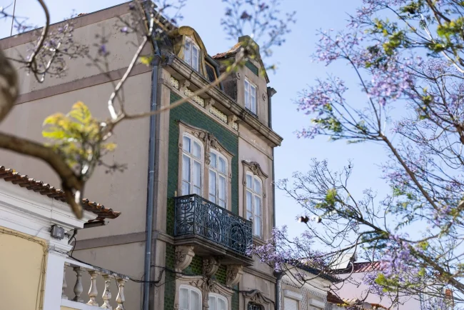 casa peixinho2