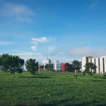 Prostituição em Monsanto: o que se vê no parque e o que já passou para a internet