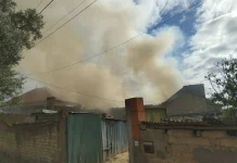 Fogo habitacional mobilizou cerca de 40 bombeiros em Vagos